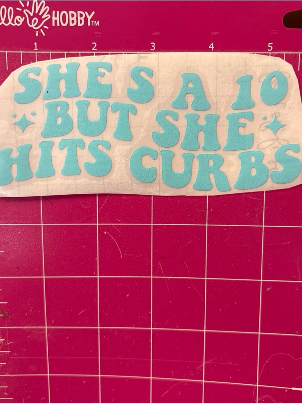 Light Blue Vinyl Wall Decal - "She's a 10 But She Hits Curbs"